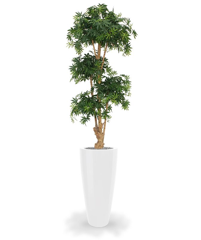 153218_acer_bonsai_deluxe_175_x4_groen_kentucky_80_shiny_white_3