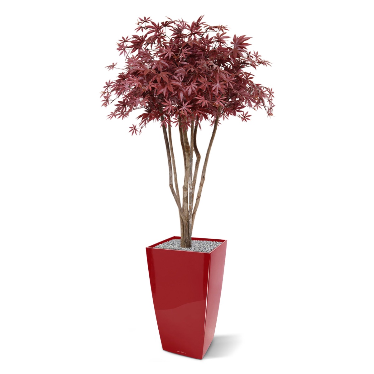 acer_deluxe_kunstboom_op_stam_130_cm_burgundy_153313_4_1